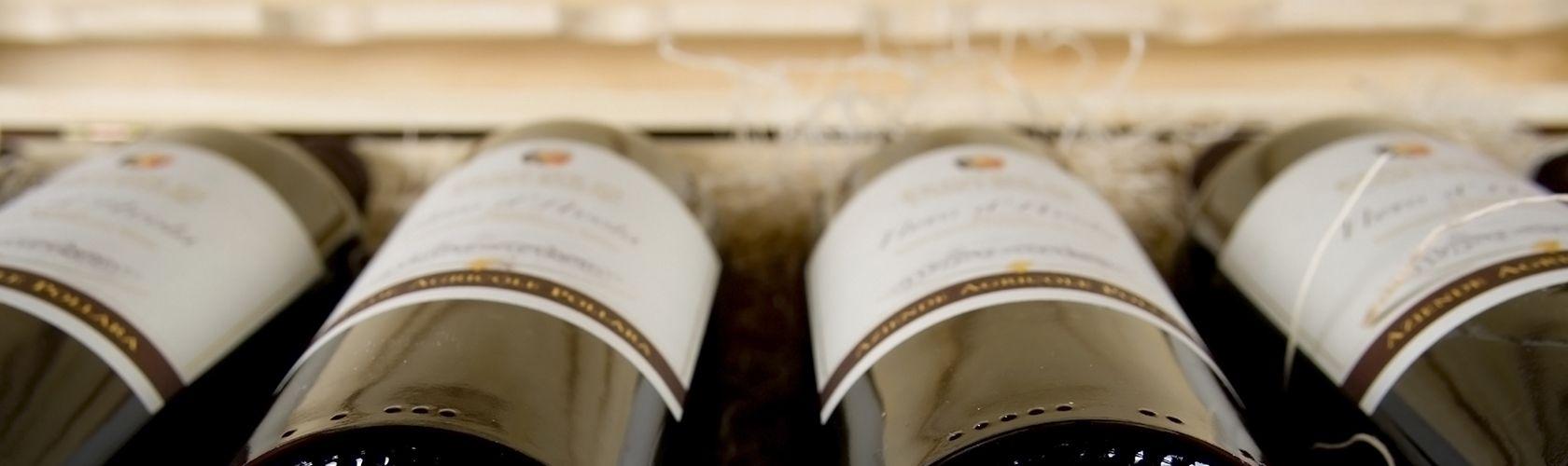 Vinhos para ter sempre em casa