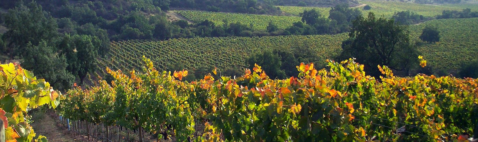 La Romanée Grand Cru de Liger-Belair recebe 100 pontos de Parker