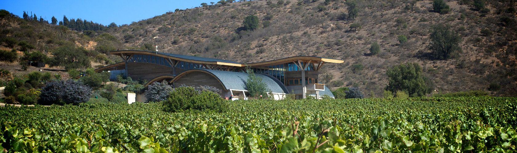 Amayna Pinot Noir 2016 recebe 90 pontos da Wine Spectator