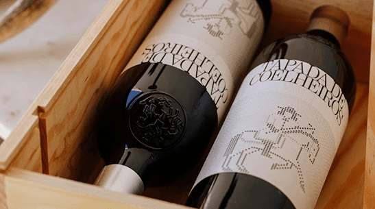 Jancis Robinson destaca portugueses biodinâmicos