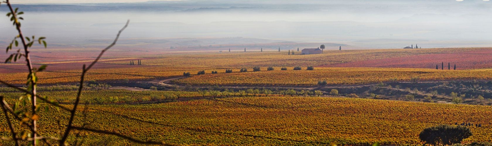 Palacios Remondo, uma das melhores descobertas da Rioja