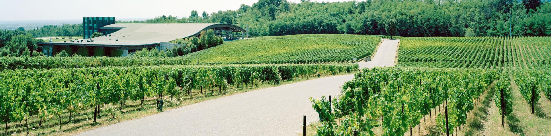 Franciacorta